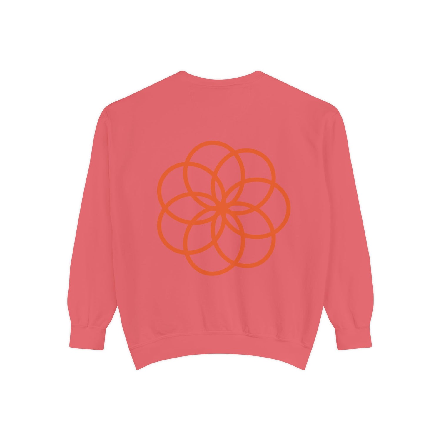 Unisex Garment-Dyed Sweatshirt - planetplanasspace
