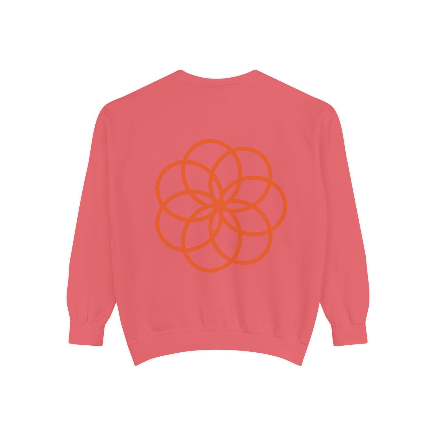 Unisex Garment-Dyed Sweatshirt - planetplanasspace