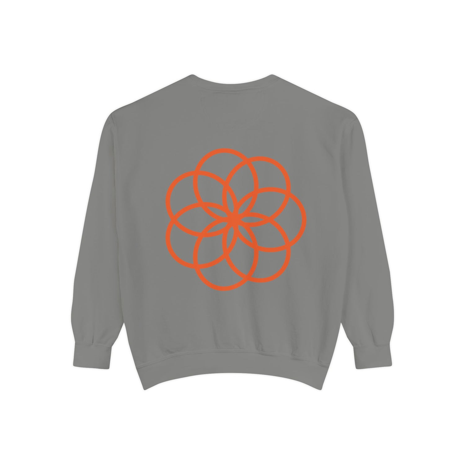 Unisex Garment-Dyed Sweatshirt - planetplanasspace