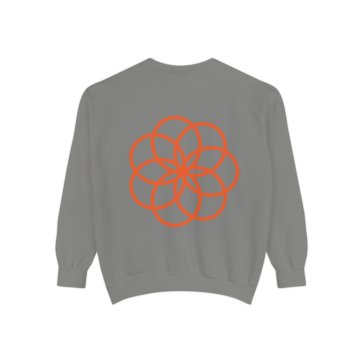 Unisex Garment-Dyed Sweatshirt - planetplanasspace