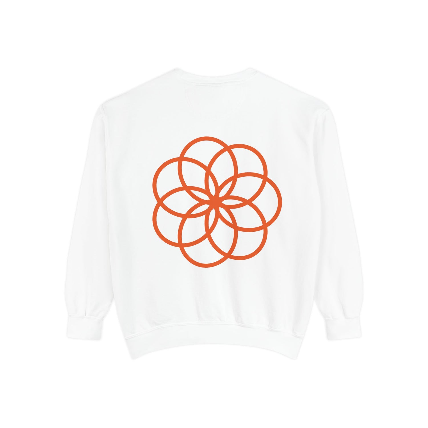 Unisex Garment-Dyed Sweatshirt - planetplanasspace