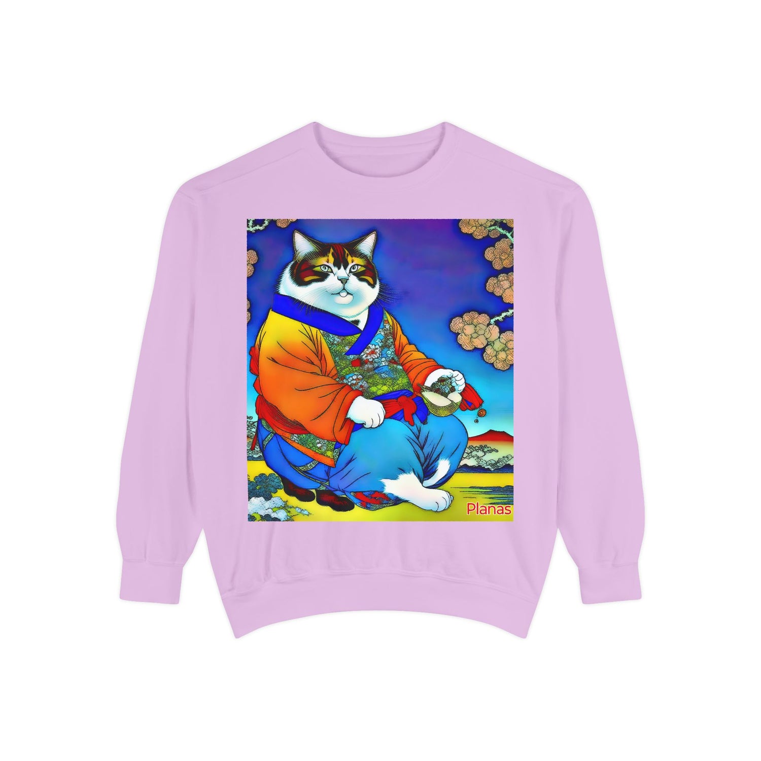 Unisex Garment-Dyed Sweatshirt - planetplanasspace