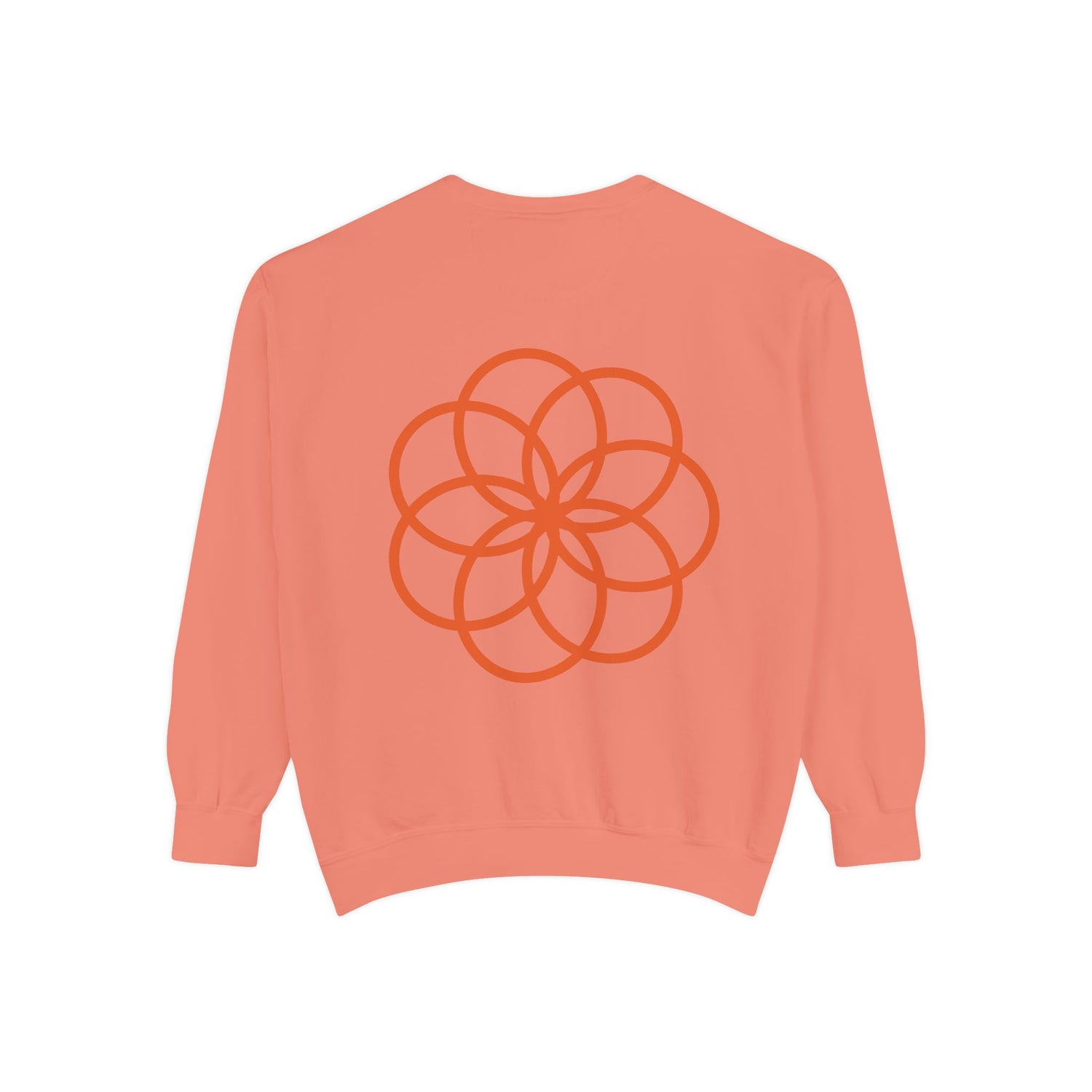 Unisex Garment-Dyed Sweatshirt - planetplanasspace