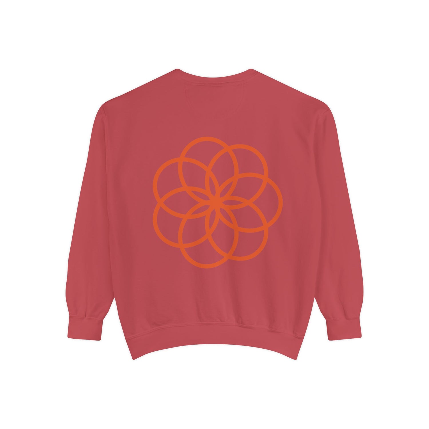 Unisex Garment-Dyed Sweatshirt - planetplanasspace